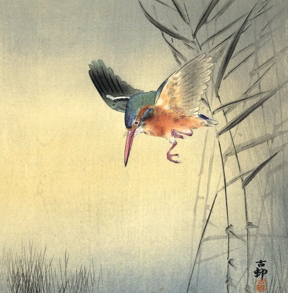 小原古邨作「カワセミ」｜日本のヴィンテージ木版画 - Etsy 日本