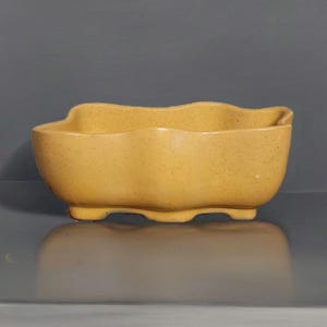 May include: A yellow ceramic planter with a wavy rim and three small feet. The planter has a speckled texture and a rectangular shape, suitable for small plants or succulents. The color is a warm, muted yellow.