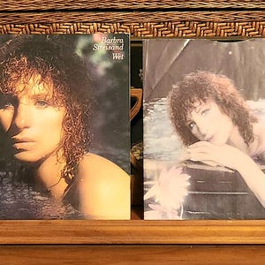 May include: Two vintage vinyl record albums. The album on the left features a woman in water, with the text "Barbra Streisand Wet". The album on the right shows a woman in a pink top. Both albums have a vintage aesthetic.