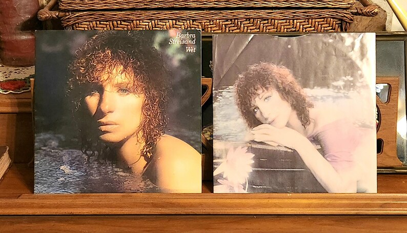 May include: Two vintage vinyl record albums. The album on the left features a woman in water, with the text "Barbra Streisand Wet". The album on the right shows a woman in a pink top. Both albums have a vintage aesthetic.
