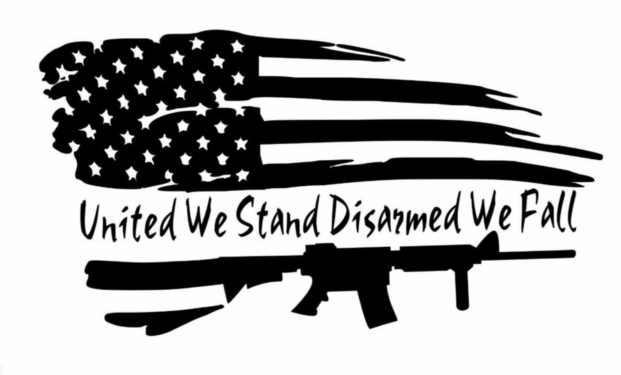 I Make Decals United We Stand Divided We Fall With Flag Bumper, I...