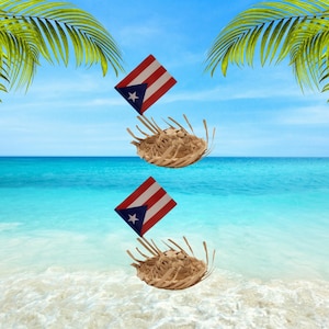 May include: Two straw hats with frayed edges, each positioned below a small rectangular flag of Puerto Rico featuring red and white horizontal stripes, a blue triangle on the left side, and a single white star centered within the triangle.