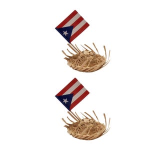 Pack Of 2 Mini 2&quot; Pava Straw Traditional Hats Puerto Rico Traditional Hats Bottle Topper Jibaro Hats Party Favors Glass Bottle Not Included
