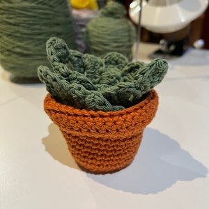 Crochet Monstera Leaf Coasters | Monstera Coasters and Pot | Set of 4 | 100% Cotton | Handmade