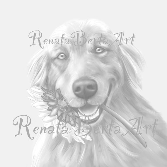 Grayscale Coloring Pages Coloring pages | Etsy