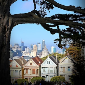 The Painted Ladies - San Francisco, CA