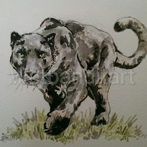 Panther print