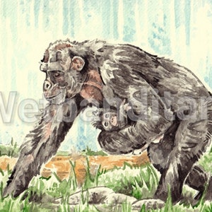 Monkey print