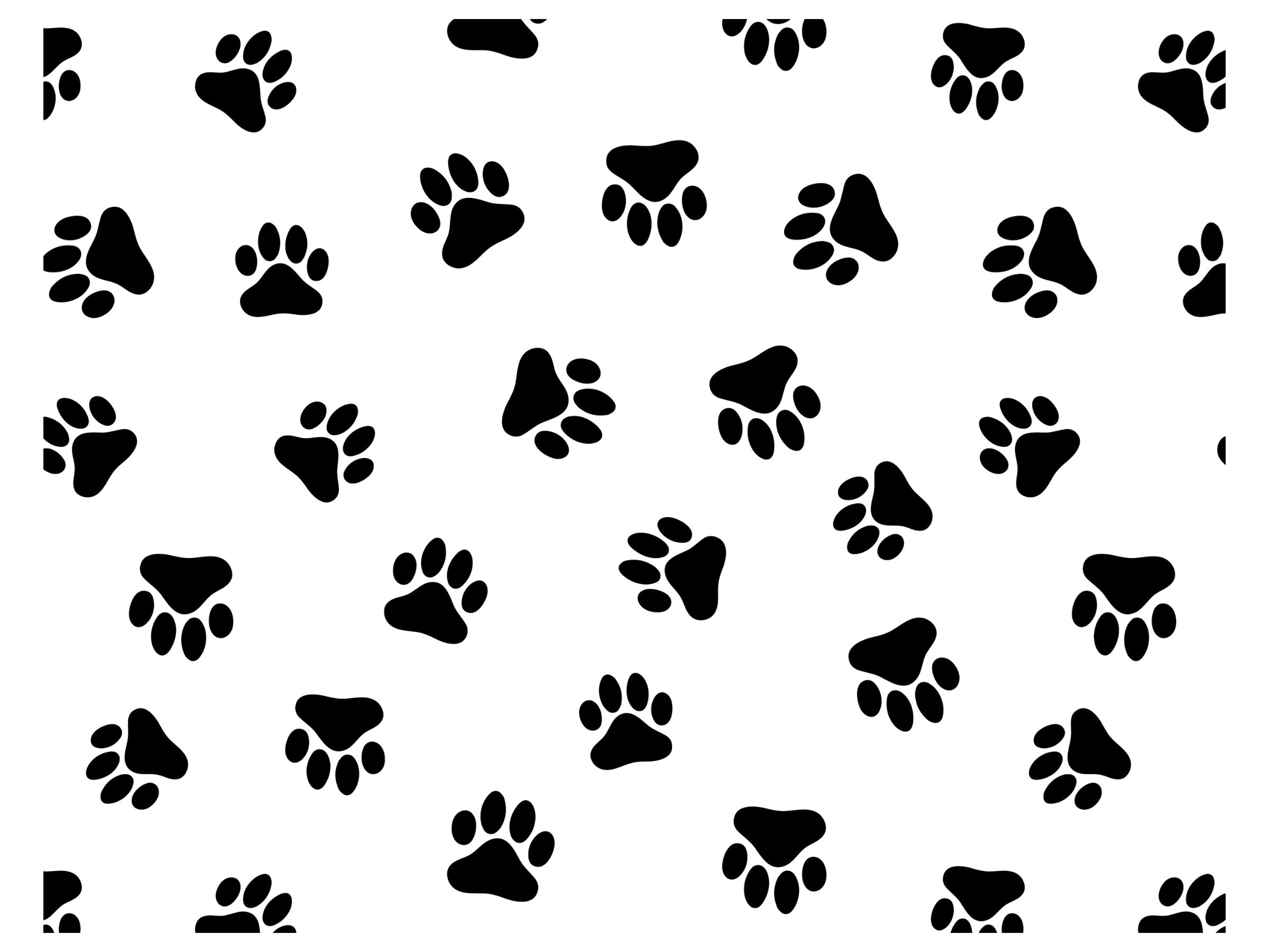Paw print svg paw seamless pattern svg dog paw background cat paw