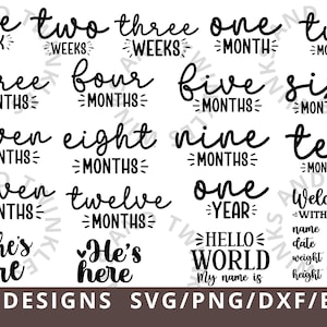 Paquete Baby Milestone Svg - Hello World Svg - Monthly Milestone Baby Stats Svg Files Cricut Silhouette - Newborn Sign Svg - Baby Svg Dxf Png