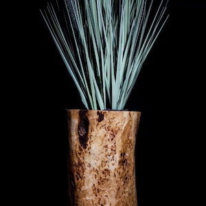 May include: A wooden vase with a natural, rustic finish. The vase is made from a single piece of wood and has a unique, organic shape. It is filled with a green plant with long, thin leaves.