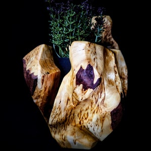 Könnte beinhalten: Eine einzigartige Holzvase mit einer natürlichen, organischen Form. Die Vase besteht aus hellem Holz mit dunkelbraunen Akzenten und enthält eine kleine Pflanze mit lila Blüten und grünen Stielen. Der Hintergrund ist einfarbig schwarz.