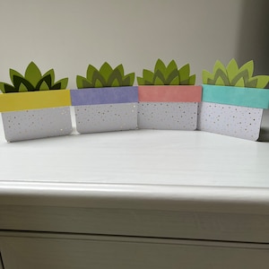 carte succulente surprise