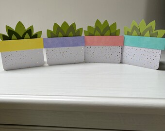 Succulent surprise menu