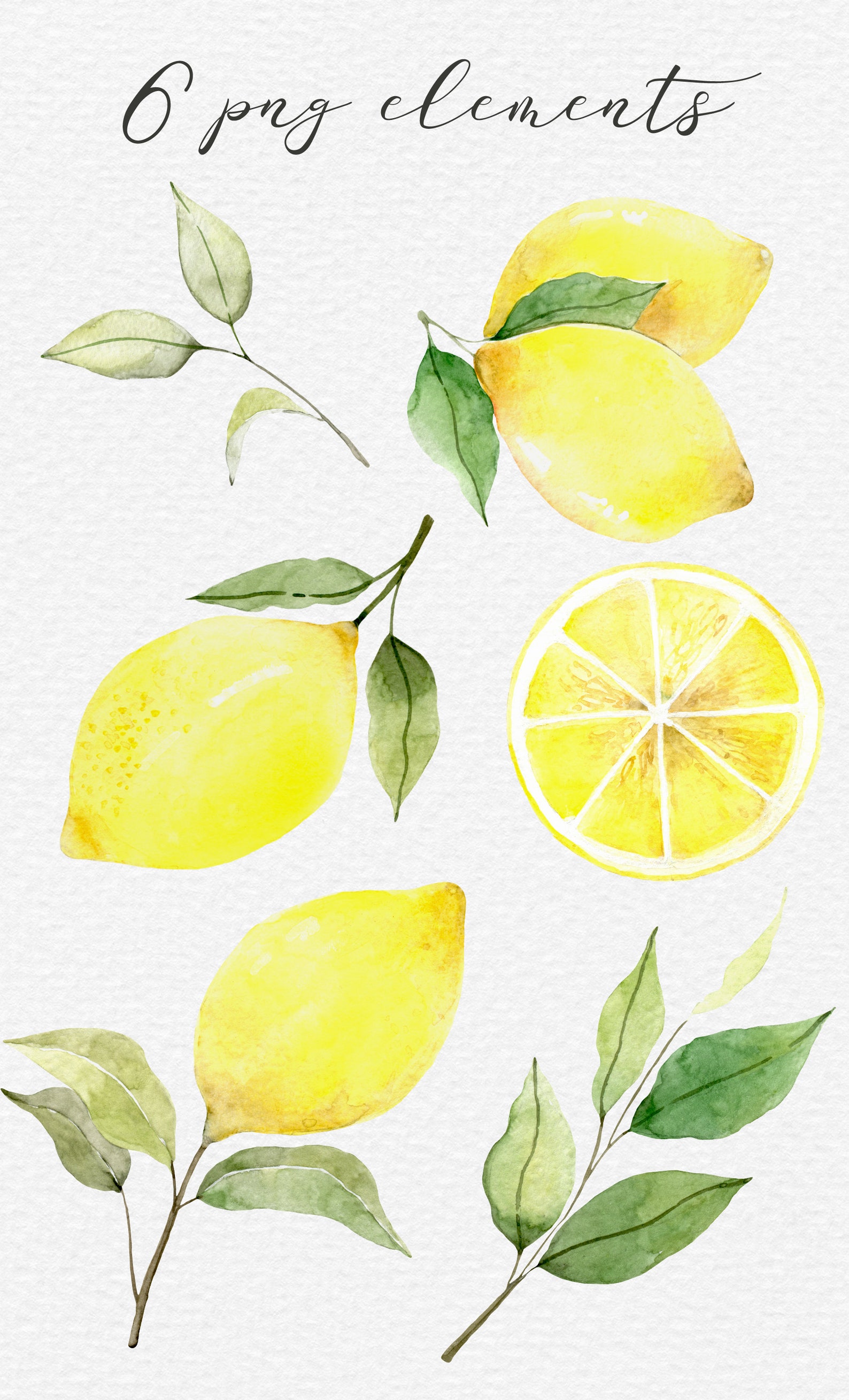 Watercolor Lemon Clip art. Hand painted Fruit Lemons PNG. Etsy