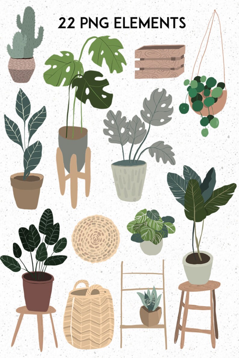Modern house plant clipart. Botanical Boho clipart ...