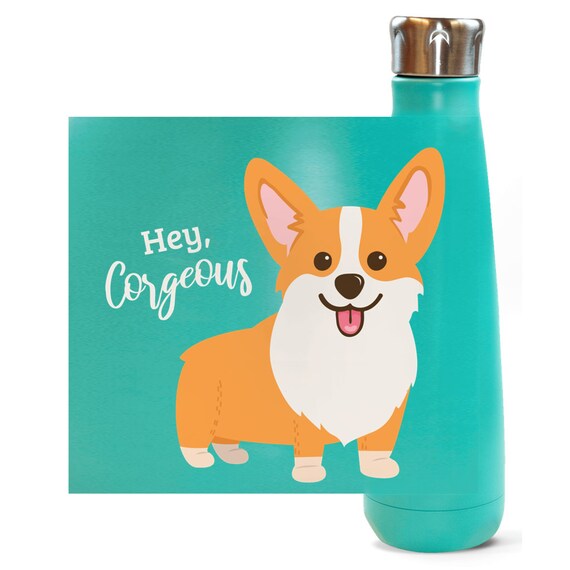 Stainless Steel Water Bottle / Peristyle / Black Or Mint Etsy