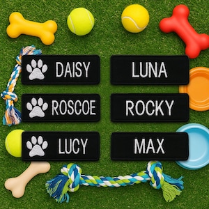 May include: A collection of dog accessories on green turf. Includes black name patches with white text: Daisy, Luna, Roscoe, Rocky, Lucy, and Max. Also shown are tennis balls, chew toys, and food bowls.