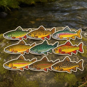 May include: Nine embroidered fish patches in various colours, including green, yellow, and red, are arranged on a mossy rock. Each patch features detailed fish scales and fins, with a white border. The background shows a blurred stream.