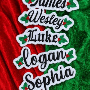 May include: Embroidered name patches with black script lettering on white patches, each adorned with holly and red berries. Names include James, Wesley, Luke, Logan, and Sophia. Set against a red and green velvet background.
