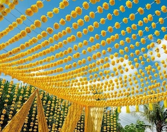 May include: A vibrant display of yellow marigold garlands suspended against a bright blue sky. The garlands are strung in parallel lines, creating a canopy effect. The scene suggests a festive or celebratory event, with additional yellow fabric and greenery visible.