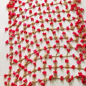 Bridal Entry Phoolon ki Chaddar Traditional Indian/Punjabi/Pakistani/Arabi Wedding Bride Walk .