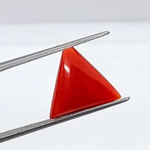 Cabochon triangulaire de corail rouge de qualité supérieure AAA + cabochon de corail rouge profond de la mer Méditerranée - cabochon de corail italien naturel - T10086