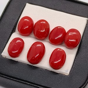 Cabochon di corallo italiano naturale al 100% - Cabochon di corallo rosso di qualità AAA - Lotto di cabochon di corallo rosso di forma ovale - Pietre preziose per la creazione di gioielli in corallo rosso