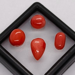 MIX FORM !! Rote Koralle Cabochon 4 Stück Lot-AAA Qualität Rote Koralle Cabochon-Natürliche Rote Koralle Oval Runde Birne Cabochon-Rote Koralle schmuck machen