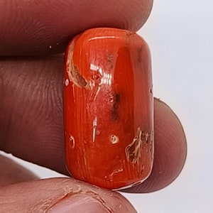 ROTES KORALLEN-OVAL !! Mittelmeer rote Koralle Oval Cabochon-Italienische rote Koralle Große Cabs-Koralle Lose Cabochon Edelstein-18x11mm Oval Cabochon