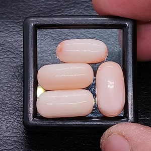 Cabochon de corail blanc non teint rare, corail japonais naturel, pierres précieuses, cabochons lisses, corail blanc ovale de 13 x 14 mm pour la fabrication de bijoux