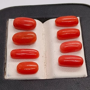 Hermoso lote de cabujón ovalado de coral rosa: cabujón de coral naranja italiano. Piedra preciosa de cabujón de coral rojo 100 % genuino para hacer hermosas joyas
