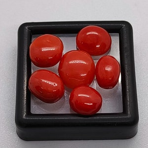 Excellent cabochon de corail orange, lot de 6 pièces - Cabochon de corail de qualité AAA - Cabochon de forme ovale en corail rouge naturel - Fabrication de bijoux en corail rouge