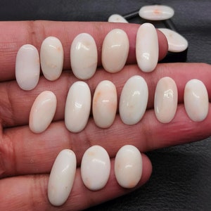 Prachtige witte koraal cabochon natuurlijke Japanse koraal edelsteen cabochon gladde cabochon 18,2 x 14,5 mm ovale witte koraal koraal voor het maken van sieraden