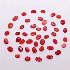 Lotto di cabochon con retro piatto in corallo rosso - 100% naturale corallo rosso italiano cabochon sciolto - pietra preziosa di corallo rosso vintage per la creazione di gioielli