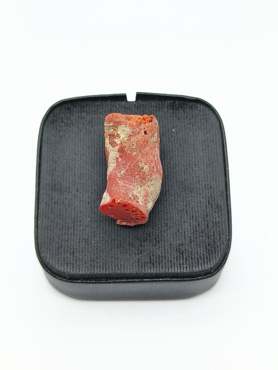 天然赤珊瑚の枝：研磨されていない地中海イタリア産宝石 - Etsy 日本