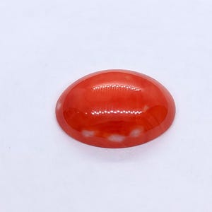 Natuurlijke Japanse koraal ovaal cabochon-expansieve koraal cabochon-echte kostbare rode koraal losse steen • Uniek in zijn soort • Jouw speciale traktatie •