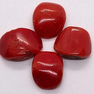Cabochon de corail rouge sang de boeuf méditerranéen - Pierres précieuses de corail rouge 100 % naturelles - Cabochon ovale de corail rouge italien - Lot de cabochons de forme ovale