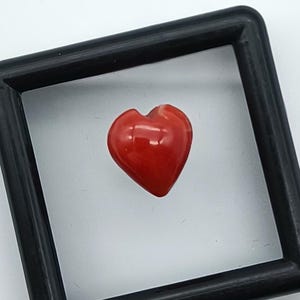 100%Natural Italian Coral Cabochon Italian Red Coral Heart Shape Coral Loose Rough Cabochon Gemstone-Beautiful Coral Cabs For Making Jewelry