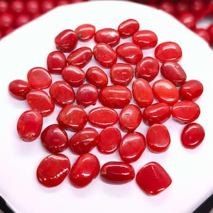 Lotto di cabochon ovali di corallo rosso di qualità AAA - 100% pietra preziosa ovale di corallo rosso naturale - Cabochon di corallo rosso autentico per la creazione di gioielli