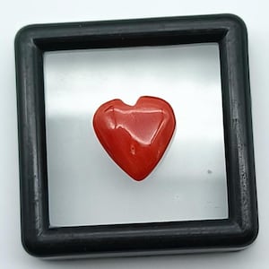 Natural Red Coral Cabochon Heart Shape Coral Cabs Italian Red Coral Loose Rough Cabochon Gemstone-Beautiful Coral Cabs For Making Jewelry