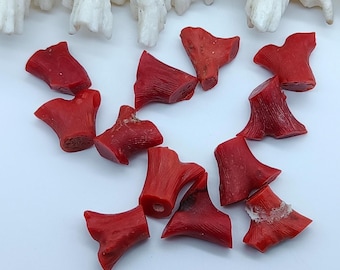 Branche de corail rouge italien naturel : pièces de pierres précieuses brutes non polies