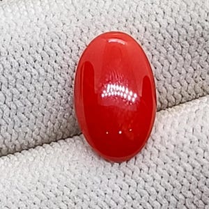 Cabujón ovalado de coral japonés color sangre de buey - Cabujón de coral natural expansivo - Piedra suelta de coral rojo precioso • Único • Su regalo especial •