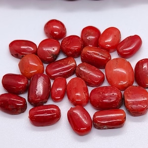 Lote de coral rojo. Cabujón de coral rojo de lujo de alta calidad. Piedra preciosa ovalada de coral rojo 100 % natural. Cabujón de coral rojo auténtico para joyería.