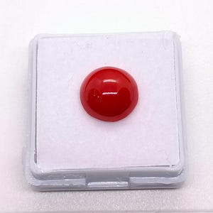 Uitgebreide Japanse ossenbloedrode koraal halfronde cabochon 10,7 mm 4 krt (ook wel koraal genoemd) Voordelig geprijsd: Japanse cabochon natuurlijk M192