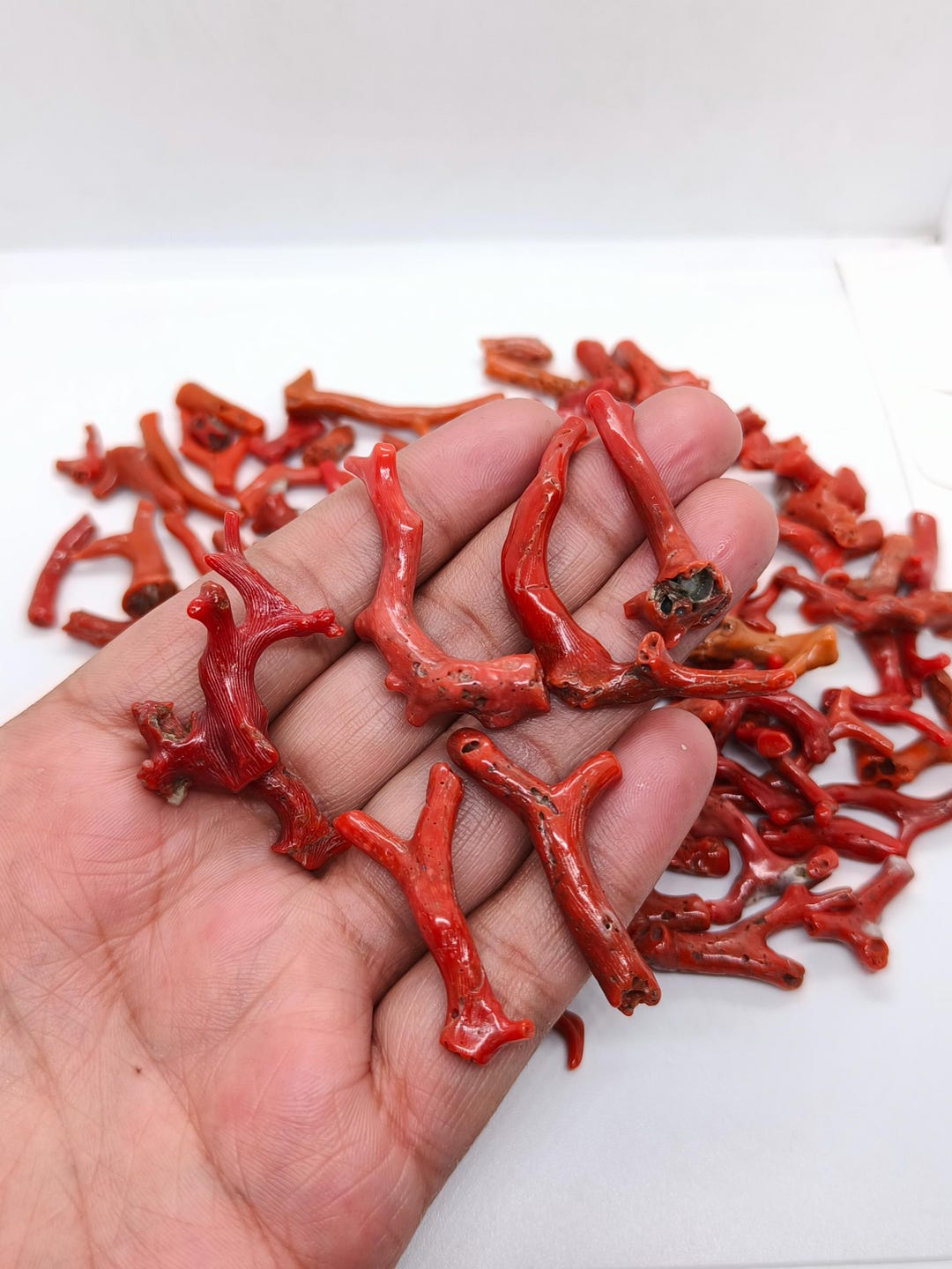 天然イタリア産赤珊瑚の枝：ヴィンテージ地中海の宝石 - Etsy 日本