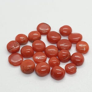 Lotto di cabochon rotondi di corallo rosso autentico - Lotto di cabochon sciolti di corallo rosso italiano naturale al 100% - Cabochon rotondi di corallo vintage antichi che creano gioielli