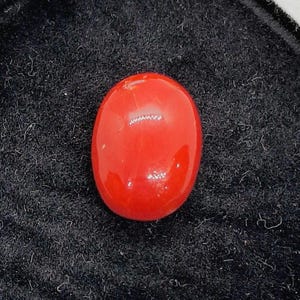 Formato oval de coral vermelho 9,20 quilates - Cabochão expansivo de coral vermelho - Pedra solta de coral vermelho genuína • Única • Para joias