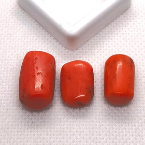 3 pezzi 100% naturale antico arancione corallo ovale cabochon lotto - italiano arancione corallo cabochon sciolto pietra preziosa per la creazione di gioielli T218