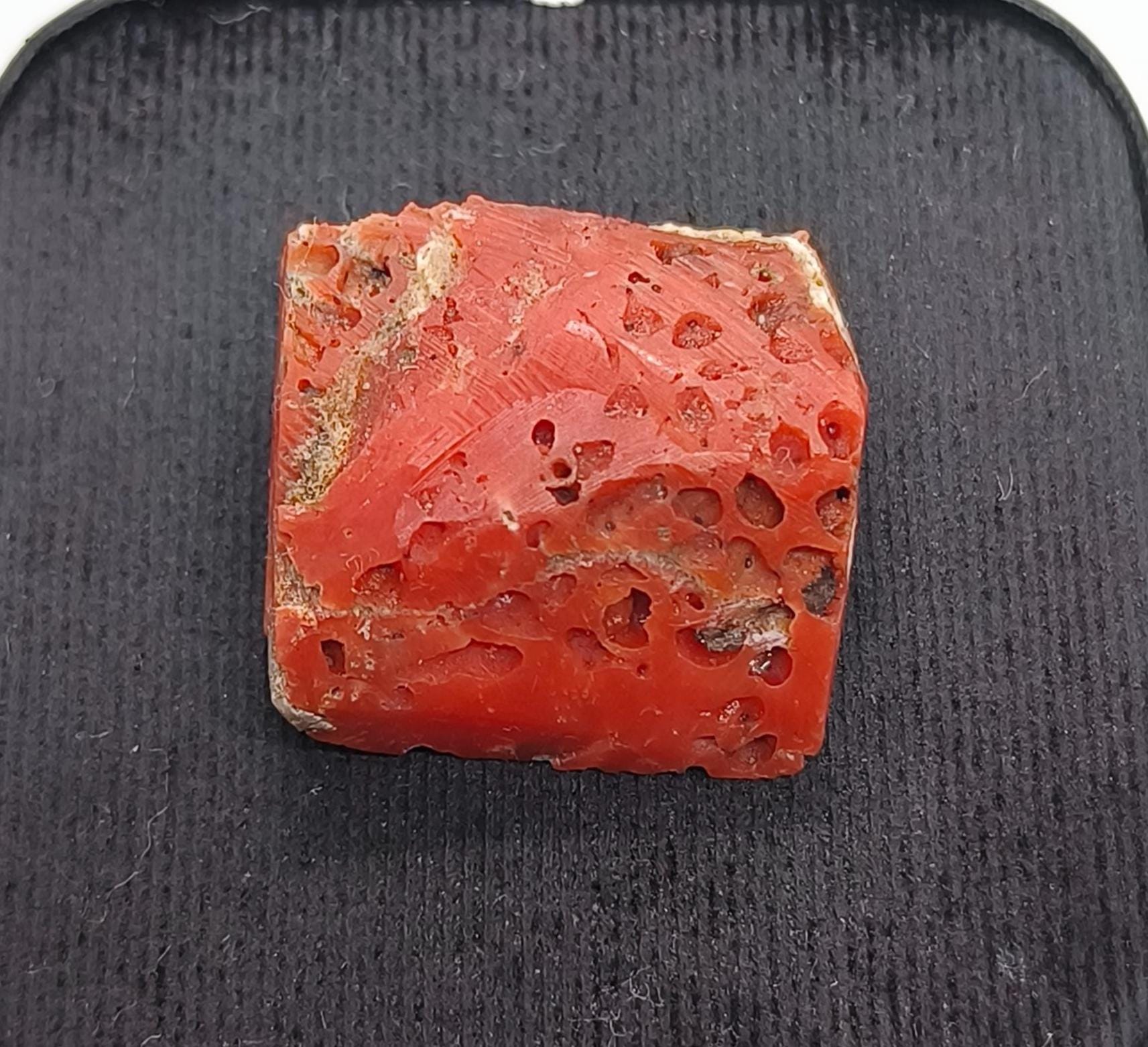 Branche De Corail Rouge Brut Poli D'Italie - Pierre Précieuse Naturelle, 21 Carats